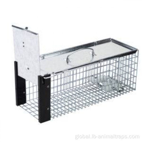 China Metal Humane Live Bait Vermin Rodent Cage Supplier